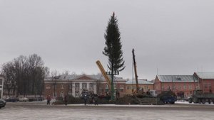 УСТАНОВКА ГОРОДСКОЙ ЁЛКИ 17.12. 2018