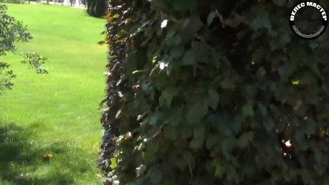 ?4K-Сказочный Парк Галицкого в Краснодаре - Экскурсия с блогером ПЕТРУХА KRD // ВЕЛЕС мастер?