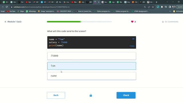 10 Module 1 Quiz | Python Developer | Sololearn