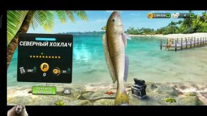 Рыба дня - СКАТ / Событие на один день / Игровой процесс / Fishing Clash: Реальная рыбалка