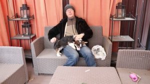 Расческа триммер для собак