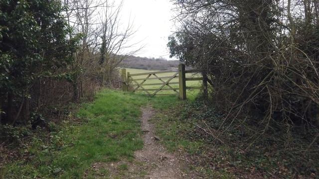 A day with a Digital Camera from 2008 (Panasonic Lumix DMC-FS3) смотреть онлайн