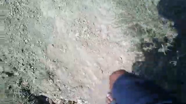 Заброшенный пионер лагерь смотреть онлайн