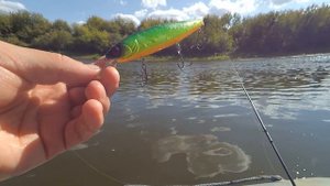 Щуки на TsuYoki! Китай сделал рыбалку!