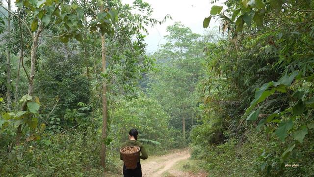 went to the village to deliver ginger - Phan couldn't hold back his tears when Chieu sent money bac смотреть онлайн