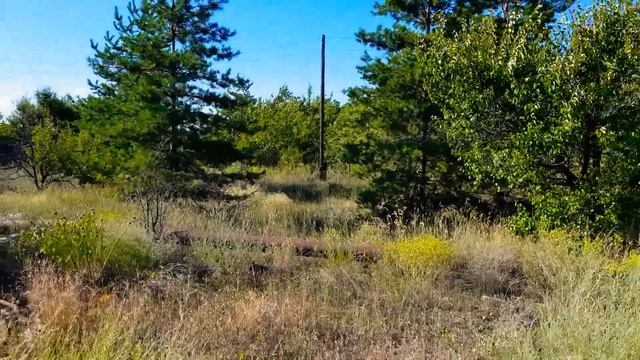 ОБЗОР. В продаже Дача на острове "Сарпинский" г. Волгоград - 2 серия смотреть онлайн