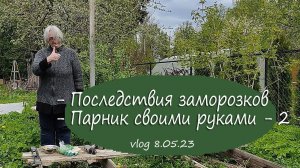 Последствия заморозков и продолжение сборки парника | Vlog Дача как есть, хроника  8.05.2023