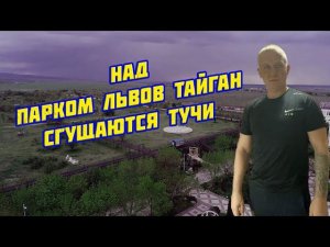 Над Парком львов "Тайган" сгущаются тучи / Как существуют киперы у местного царька?