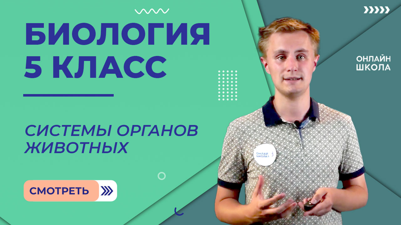 Системы органов животных. Видеоурок 18. Биология 5 класс