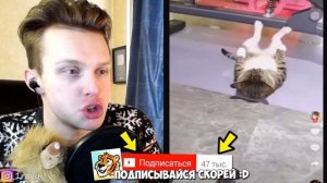 ВСЯ БОЛЬ В ОДНОМ ВИДЕО.. Попробуй не СКАЗАТЬ ФУ! РЕАКЦИЯ на САМОЕ НЕПРИЯТНОЕ ВИДЕО ТикТок Райли