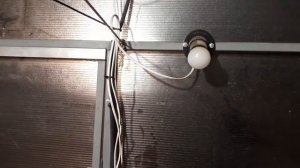 Содержание кур-несушек в теплице зимой