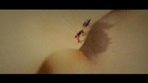 Приключения Алёнушки и Ерёмы - Песня Шаха