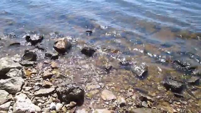 Заволжье. Жаркий день. Чебоксары. 9 июня 2019 смотреть онлайн