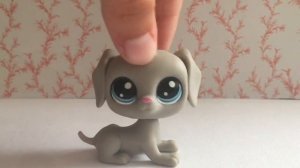 LPS/Top 5 не любимых LPS/Littlest Pet Shop