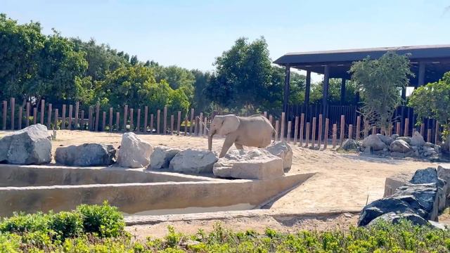 ДУБАЙ 🇦🇪 ЗООПАРК🦒🦓🦥 ӘЛЕМДЕГІ ЕҢ ҮЛКЕН САФАРИ ПАРК 🦚🐊🦍🐘🦩🦘🦧🌴 смотреть онлайн