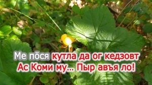 караоке "Коми му"