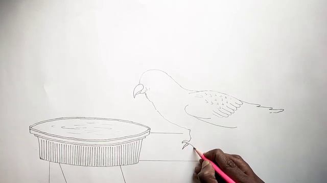 How to draw a Bird Drinking Water step by step |Drawing Drinking water a bird step by step very eas смотреть онлайн