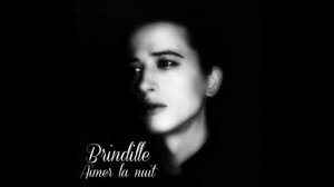 Aimer la nuit - Brindille