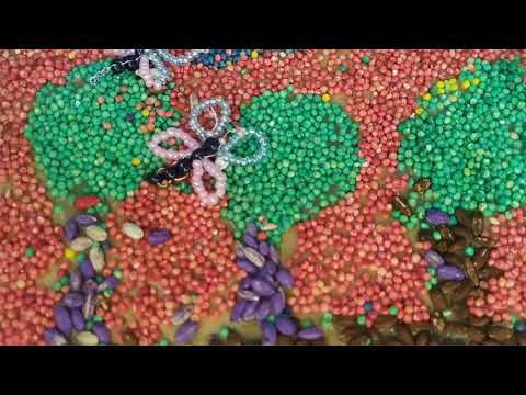 Мультфильм "Полёт бабочки"