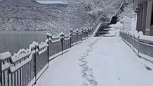 Абрау Дюрсо. Обзор. 2022