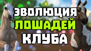 ЭВОЛЮЦИЯ ЛОШАДЕЙ КЛУБА Chinchilla Forest | НАМ СКОРО 2 ГОДА | Star Stable