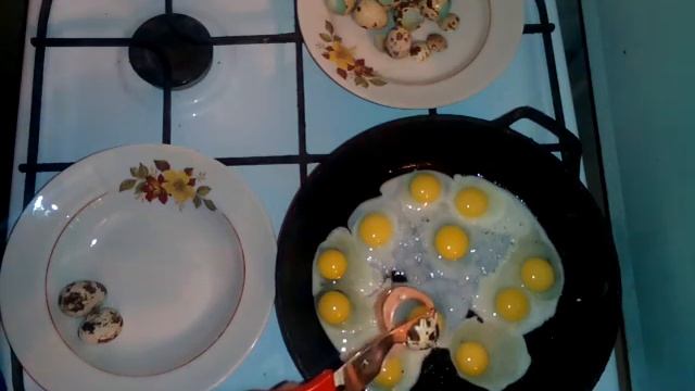 На youtube яичница-глазунья из перепелиных яиц своими руками. Best eggs.