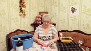 СЕЕМ ТОМАТЫ!!! ПОСЕВ СЕМЯН ТОМАТОВ НА РАССАДУ В КАССЕТУ.