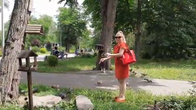 Кормление птиц. Лето 2020. Прогулка в парке. #лето2020 #фото #фотоотчет #фотодня #я #взаимныеподпис смотреть онлайн