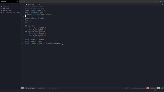 Python Problem solver Python | Neovim | Windows смотреть онлайн