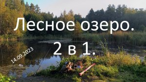 Лесное озеро. 2 в 1.