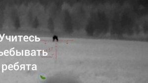InfiRay t2 pro хорошо бежит )))