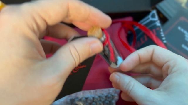 Unboxing the Diablo IV Lilith Box #BlizzardPartner смотреть онлайн