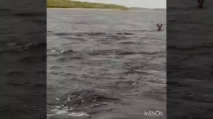Охота и рыбалка в Якутии, Кобяйский район