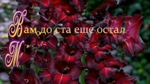 Тебе сегодня 85!!! С Днем Рождения!  Очень хорошему человеку исполнилось 85!!!
