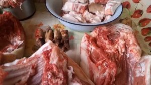 сколько же мясо от вьетнамского поросенка？