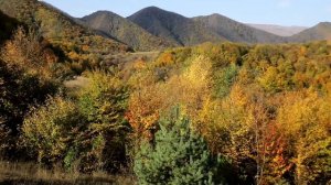 Осень в Верхнем Дженгутае.