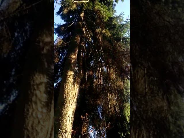 30 ноября 2022 г. смотреть онлайн