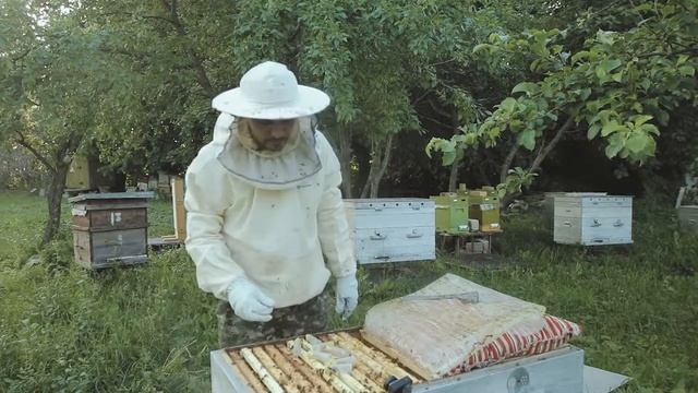 Вывод маток часть 5. Выход маток. смотреть онлайн