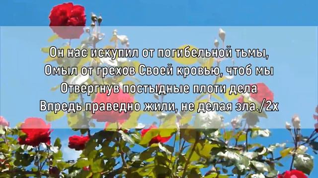 Знаю я знаю Елена Ваймер смотреть онлайн