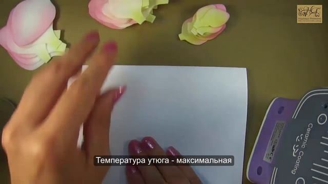 Гладиолус (часть 1) с гофрированным краем из фоамирана мастер-класс / Gladiolus | foam flowers | DI