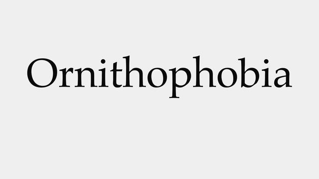 How to Pronounce Ornithophobia смотреть онлайн