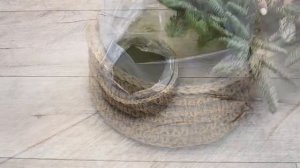 НОВОГОДНЯЯ КОМПОЗИЦИЯ ИЗ ЕЛИ НОБИЛИС/ новогодний декор