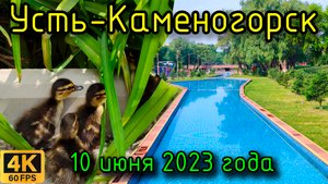Усть-Каменогорск 10 июня 2023 года. Daniel, Альшемали, Sulpak, утята.
