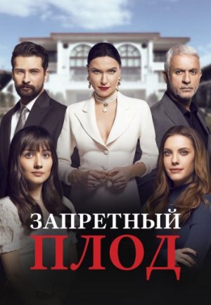Обзор на Турецкий сериал «Запретный плод» на русском языке.