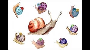 Улитки on-line.wmv