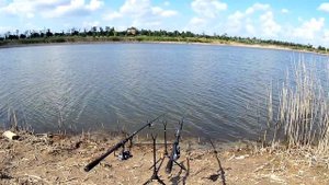 Рыбалка на Ольгинском ставке, Бердянский район, Запорожская область ???