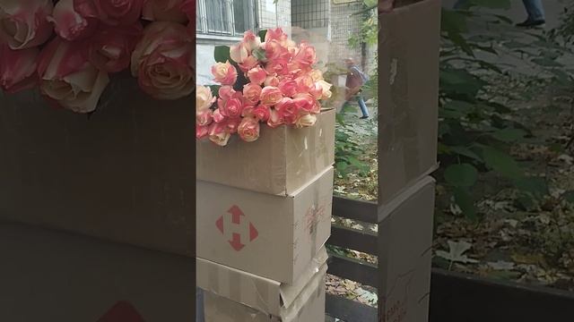 Ну, хоч це порадувало....30.10.23 #чекаю, #машину смотреть онлайн