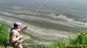 Ловля толстолоба .