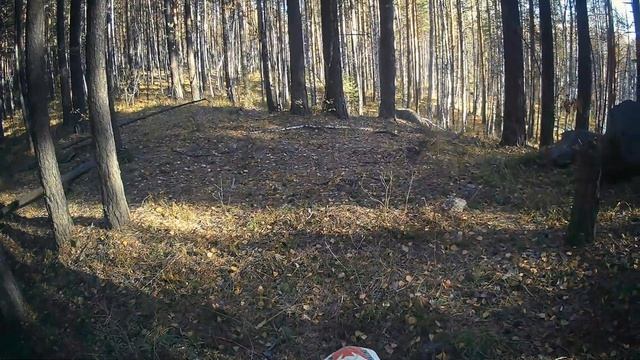 BSE M2 | Эндуро покатушка. Ровчик попроще. Изучаем новые тропы. Ровчик посложнее. смотреть онлайн