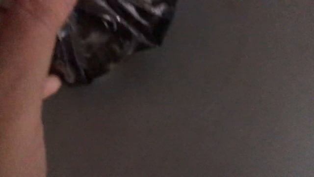 Плесень. Как плесневеют продукты?